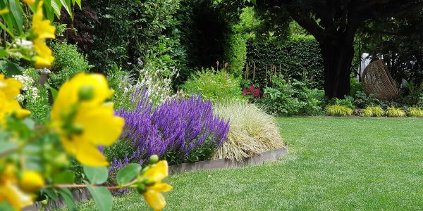 manutenzione e realizzazione giardini