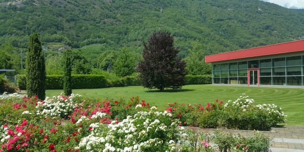 manutenzione verde aziendale ossola giardini