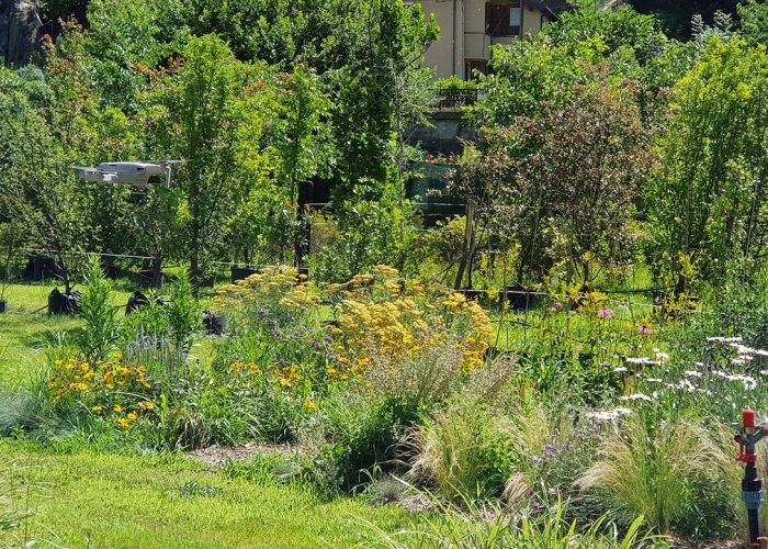 sviluppo giardino informale luglio (1)