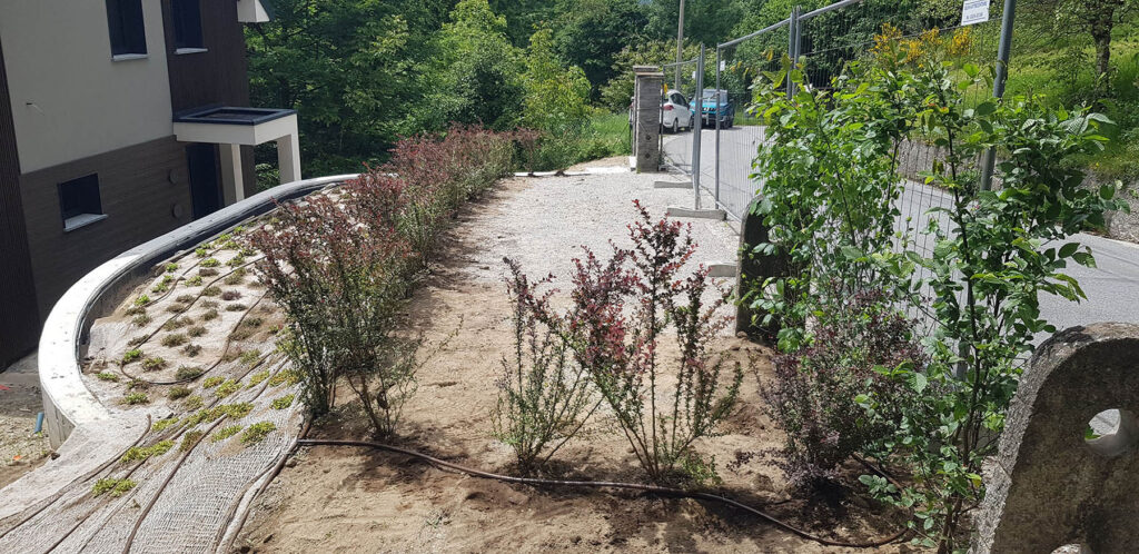 area parcheggio in ghiaia e versante inclinato con essenze alpine tappezzanti a bassa manutenzione