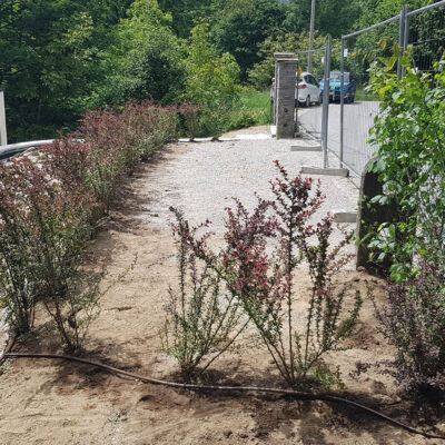 area parcheggio in ghiaia e versante inclinato con essenze alpine tappezzanti a bassa manutenzione
