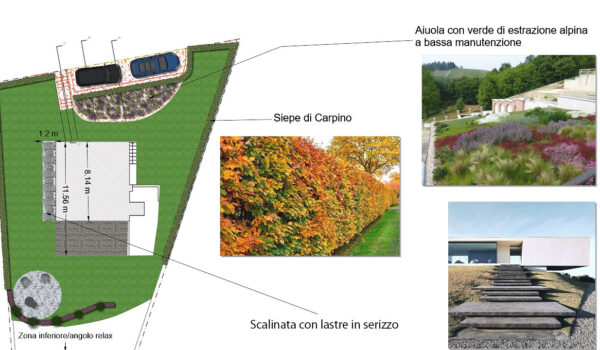 ossola giardini_giardino contemporaneo in ambiente alpino_Tavola vegetazione