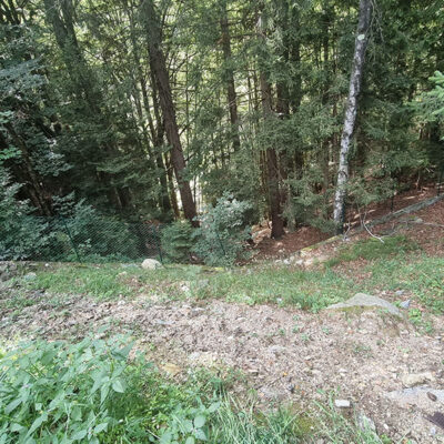 il giardino come si presentava prima dell'intervento di riprogettazione
