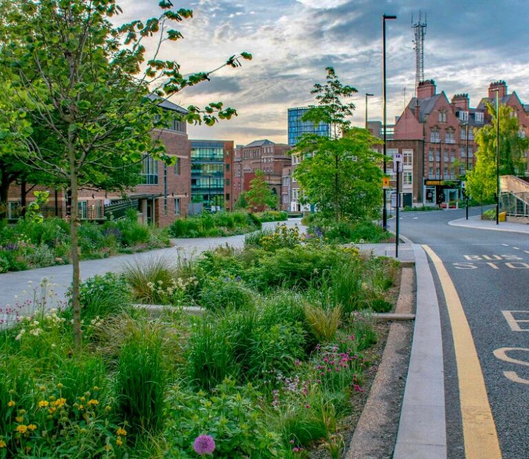 verde urbano a Sheffield