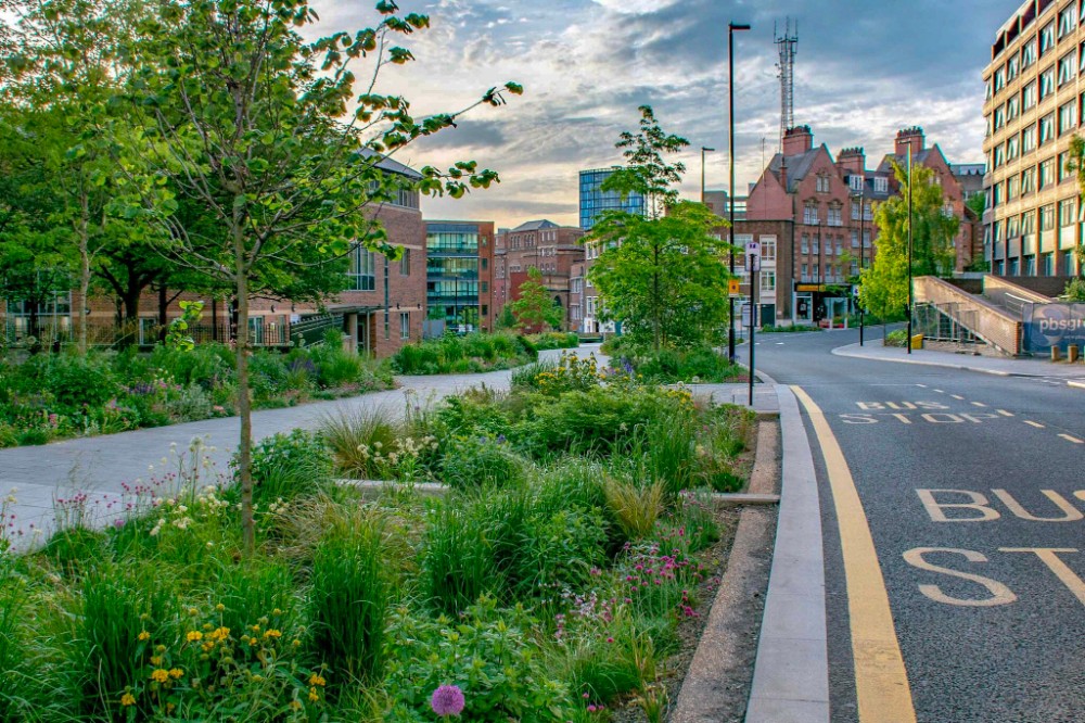 verde urbano a Sheffield