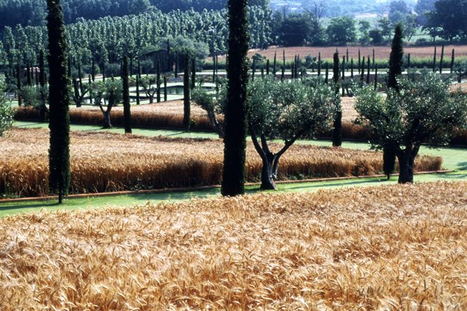 Giardino privato a Girona, Spagna 1994 © Fernando Caruncho