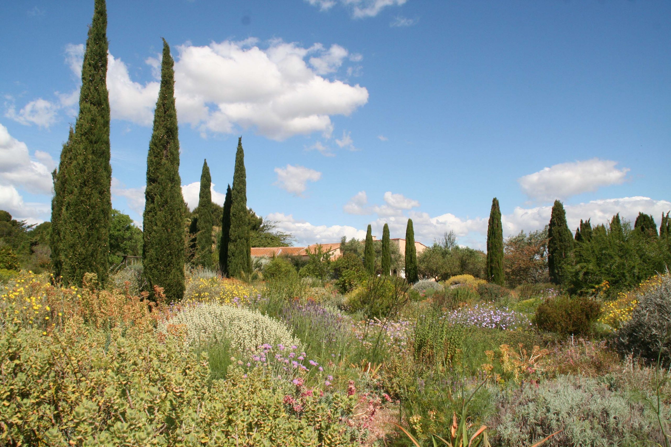 Giardino espositivo | © Olivier Filippi