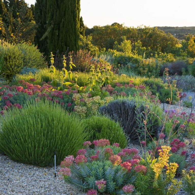 olivier filippi: giardino asciutto