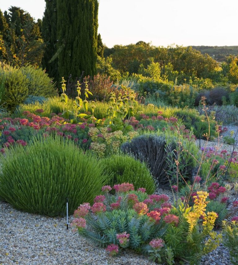 olivier filippi: giardino asciutto