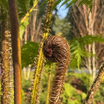 progetto ossola giardini a orticolario 2025 (14)