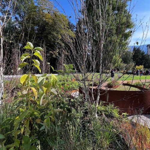 progetto ossola giardini a orticolario 2025 (18)