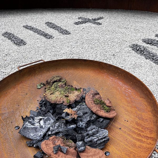 progetto ossola giardini a orticolario 2025 (2)